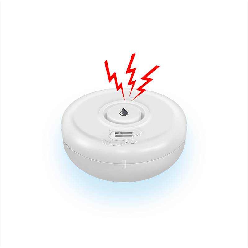 Wireless Water Detector Wireless Water Detector