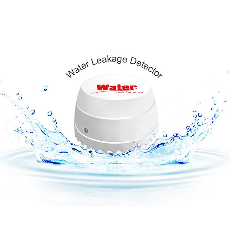 Wireless Water Detector
