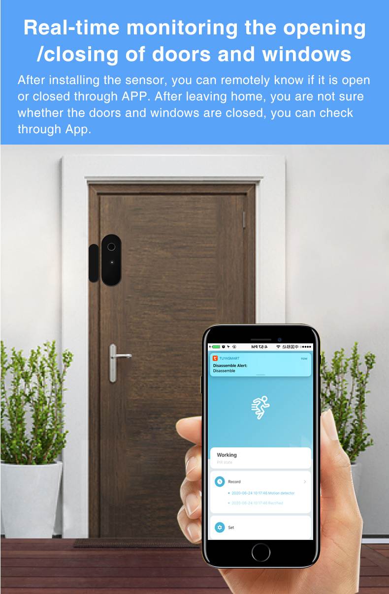 Tuya Zigbee door sensor supplier (1)