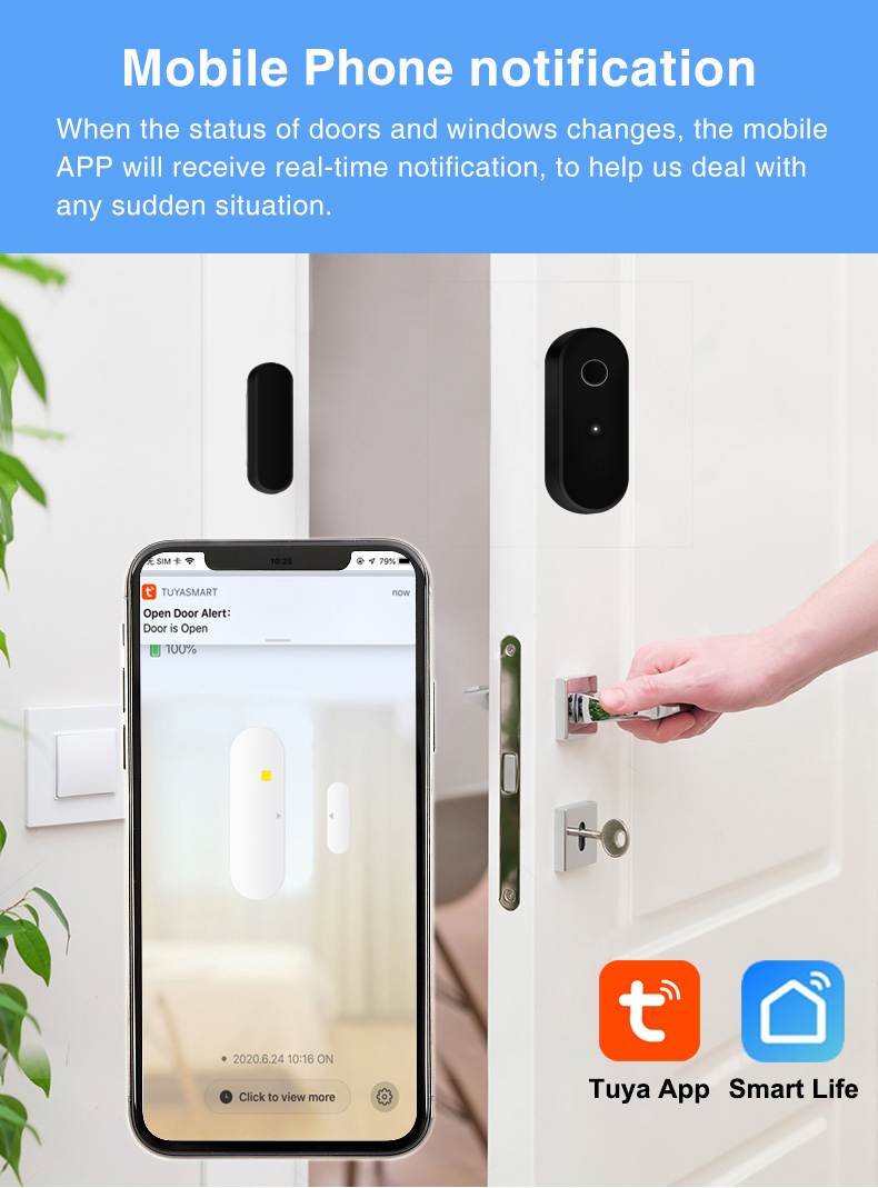 Tuya Zigbee door sensor supplier (2)
