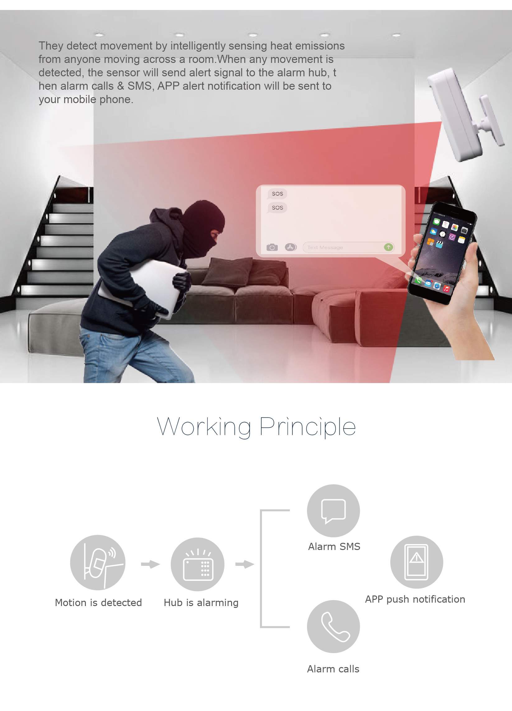 433MHz motion sensor supplier (2) 433MHz motion sensor supplier (2)