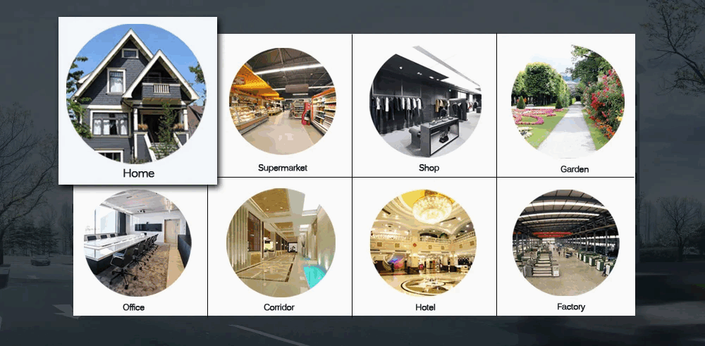 Tuya WiFi Security Camera Q01 (5)