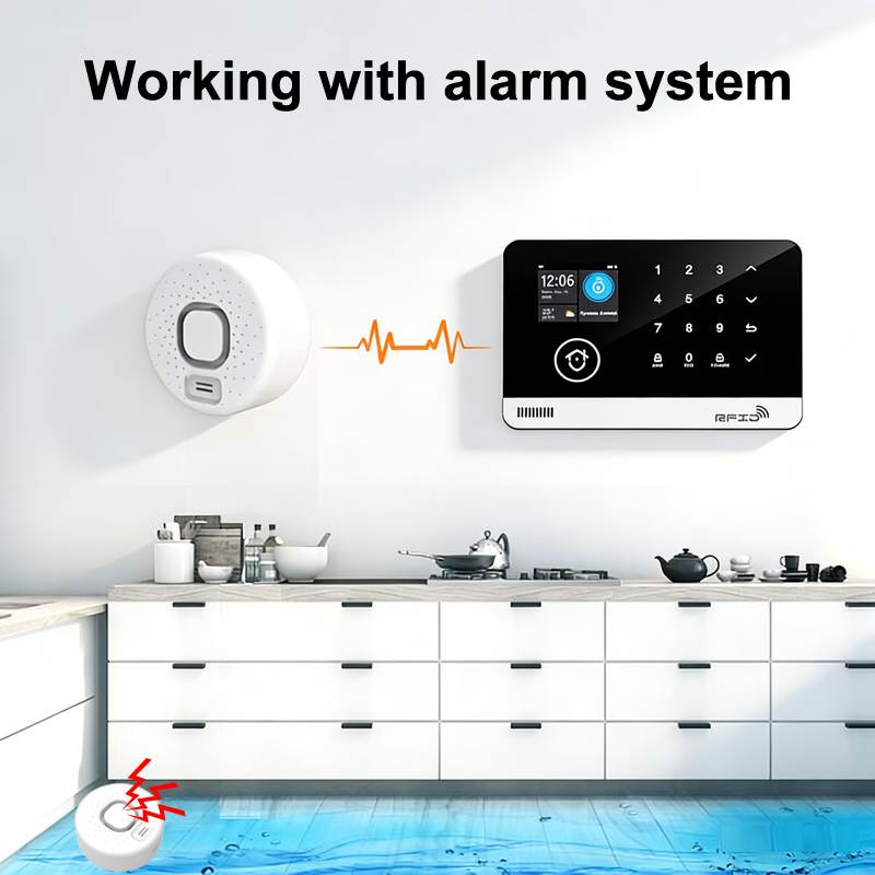 433MHz wireless water sensor 1.jpg